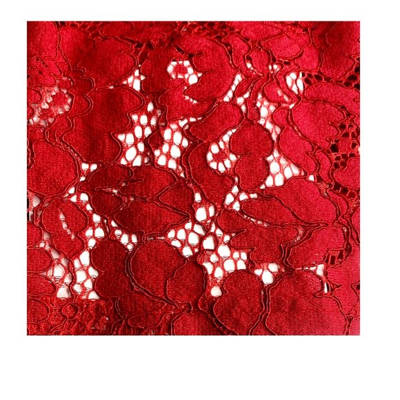 Red Lace Flare Dress with Fitted Red Slip, Size 12 - Picture 4 of 4